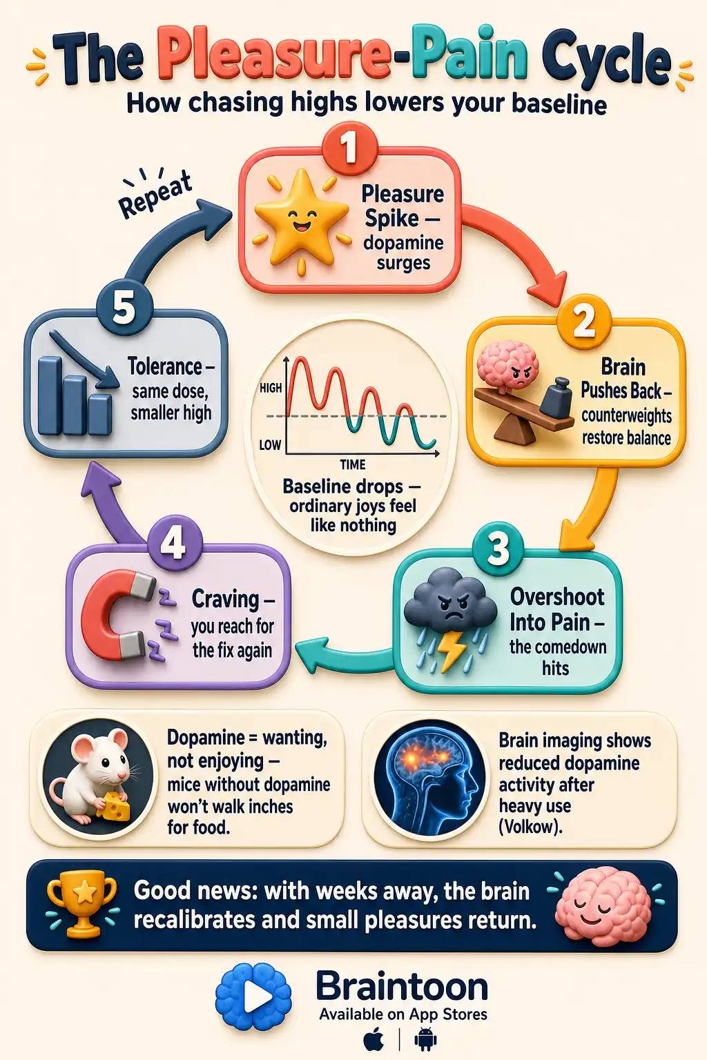 Circular cycle diagram of the pleasure-pain loop: pleasure spike, brain counterbalance, overshoot into pain, craving, and tolerance, with a center chart showing shrinking highs and a dropping baseline.