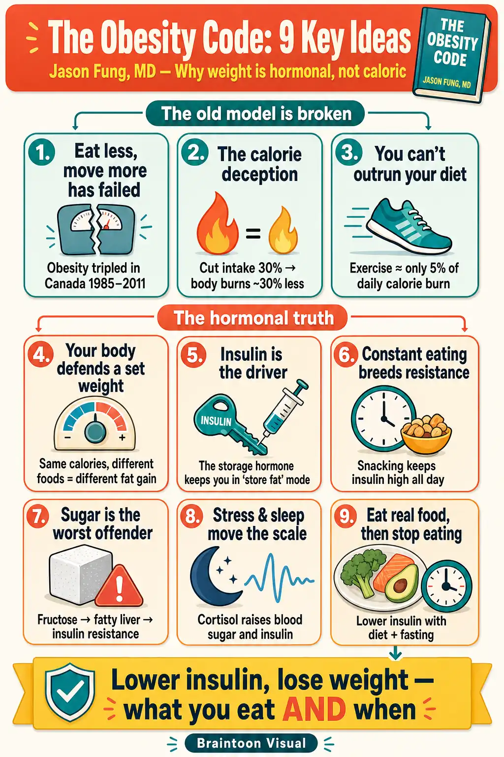 Infographic summarizing nine key ideas from The Obesity Code: standard calorie advice failed, cutting calories slows metabolism, exercise burns only about 5% of daily calories, the body defends a set weight, insulin drives fat storage, constant snacking creates insulin resistance, fructose causes fatty liver, cortisol and poor sleep raise insulin, and the solution is real food plus fasting to lower insulin.