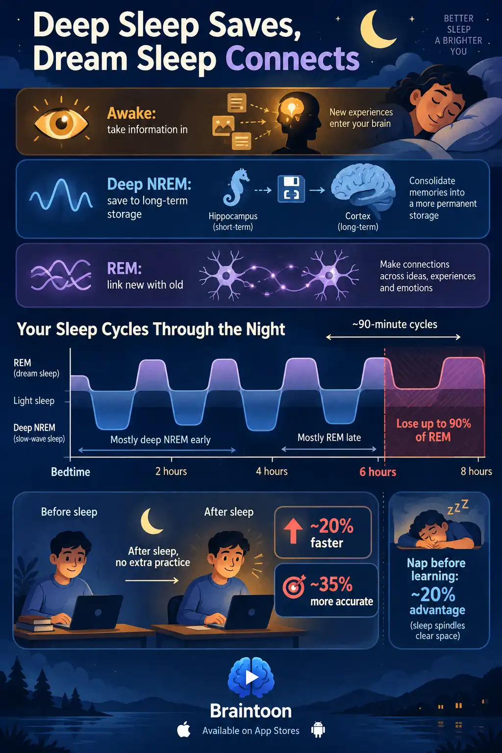 Cards explain the roles of waking, deep NREM and REM sleep. Below, a night-long sleep cycle chart shows deep sleep concentrated early and REM late, with a cutoff at six hours removing most REM. A keyboard study shows faster, more accurate performance after sleep.